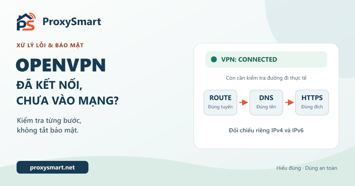 OpenVPN đã kết nối nhưng không vào được mạng: cách kiểm tra an toàn